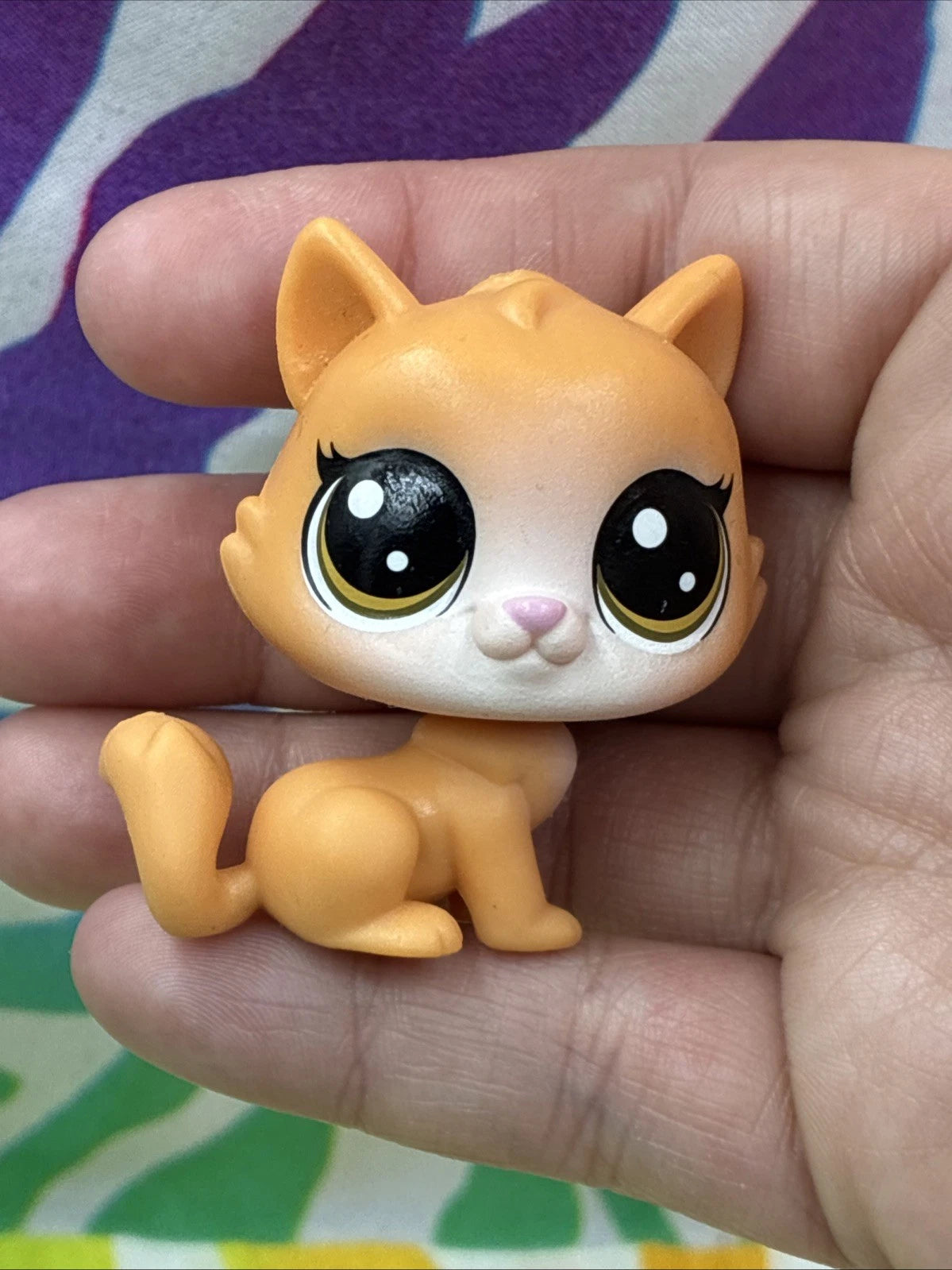 LPS Littlest Pet Shop Tiki Treats Pouncy Sipton Cat #78 Figure 2017