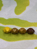 Lego Land Animal Set Of 8 Frog Figures X223 Green Yellow Gold Brown Lime