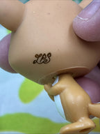 LPS Littlest Pet Shop Hide & Sweet Chipmunk #3068 Figure