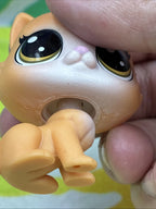 LPS Littlest Pet Shop Tiki Treats Pouncy Sipton Cat #78 Figure 2017